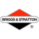 Двигатели Briggs-Stratton в Москве